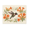 Hummingbird and Trumpet Flowers Canvas Wall Art