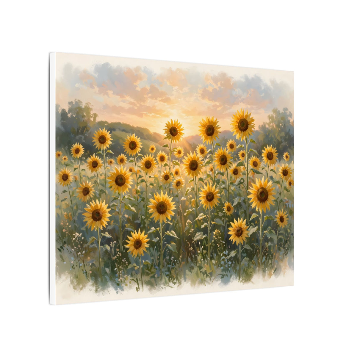 Sunflower Field at Sunset Canvas Wall Art