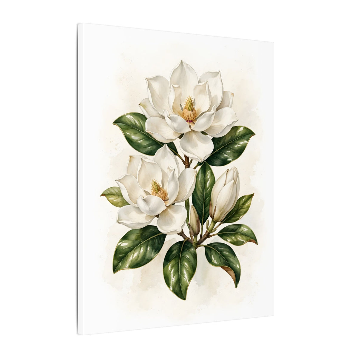 Magnolia Blossoms Canvas Wall Art – Style 2