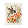 Hummingbird and Trumpet Flowers Velveteen Plush Blanket – Style 2