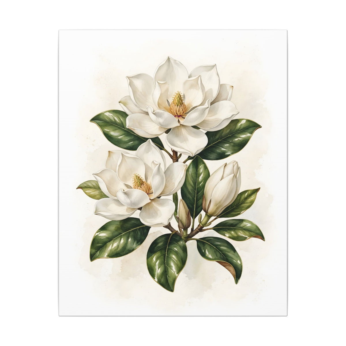 Magnolia Blossoms Canvas Wall Art – Style 2