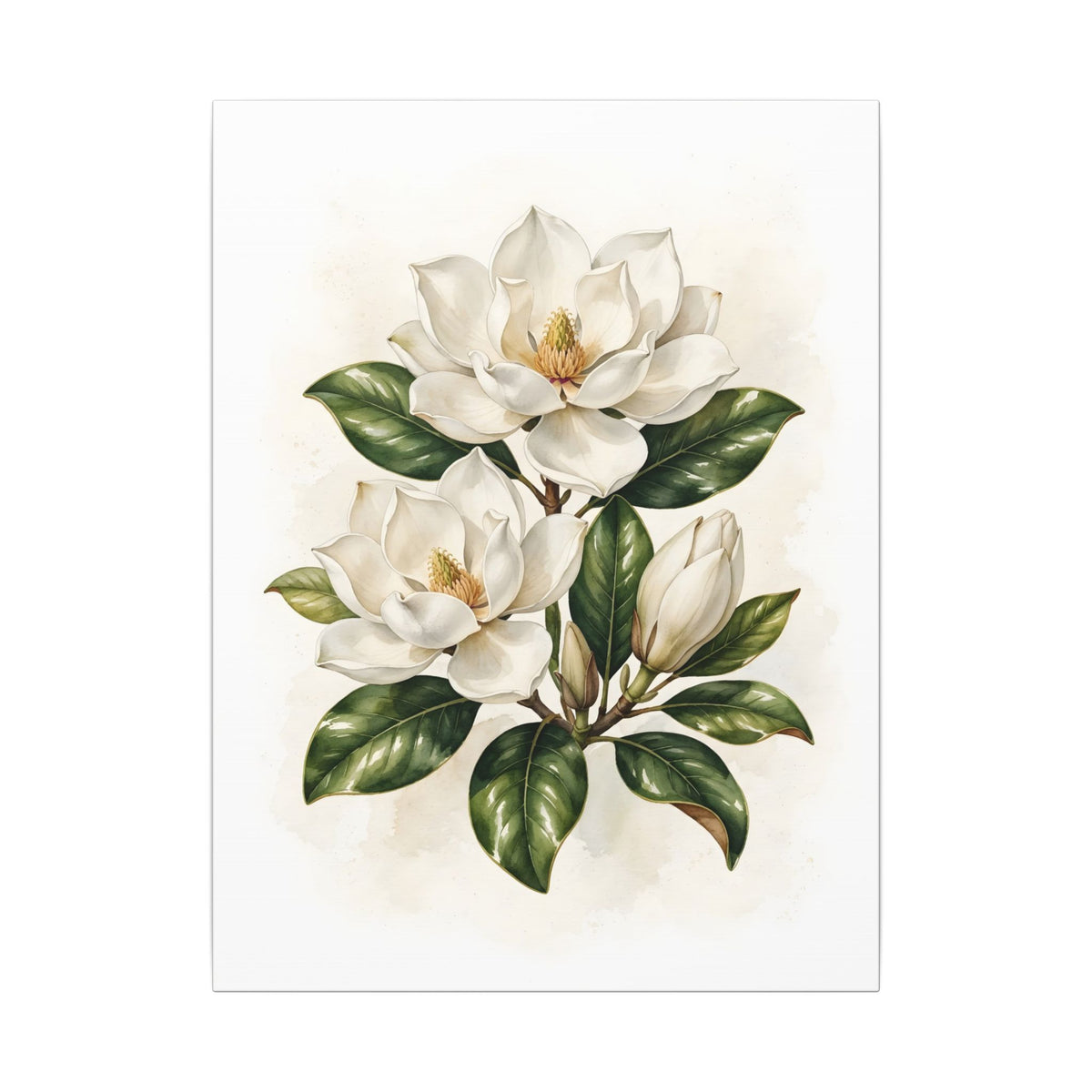 Magnolia Blossoms Canvas Wall Art – Style 2