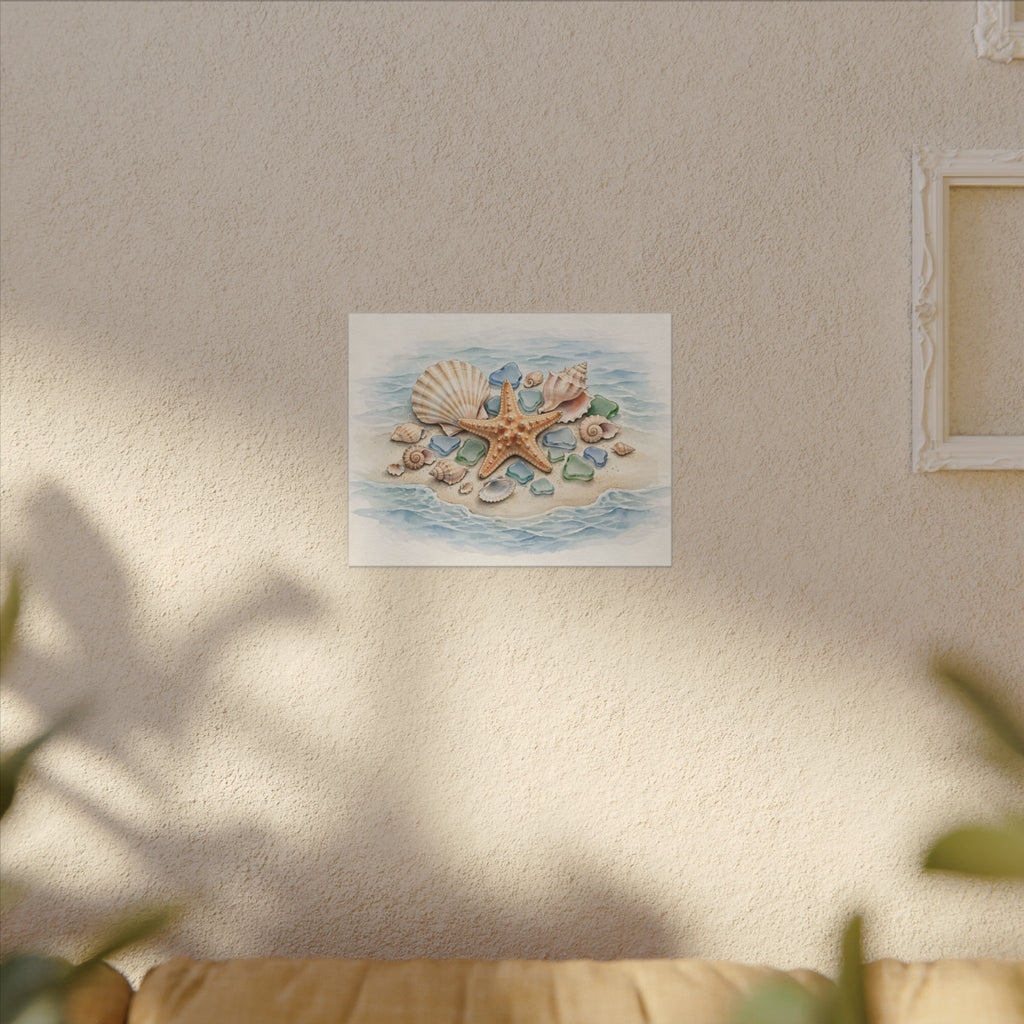 Seashells and Starfish Canvas Wall Art