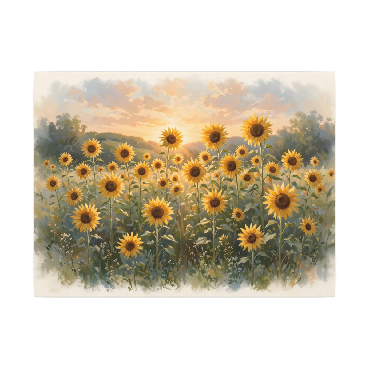 Sunflower Field at Sunset Canvas Wall Art